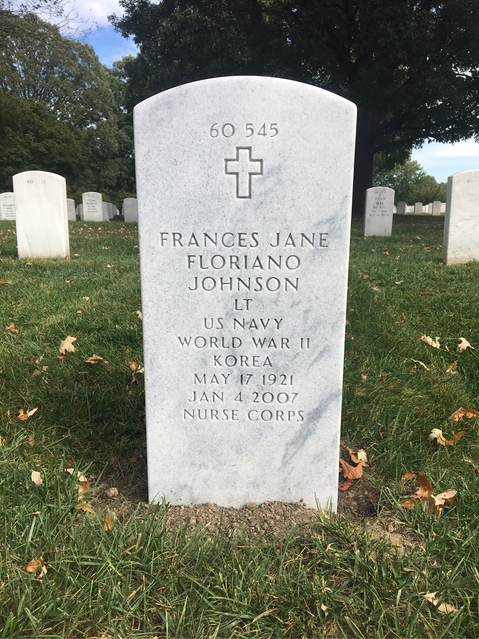 Back of headstone — Theodore Johnson
