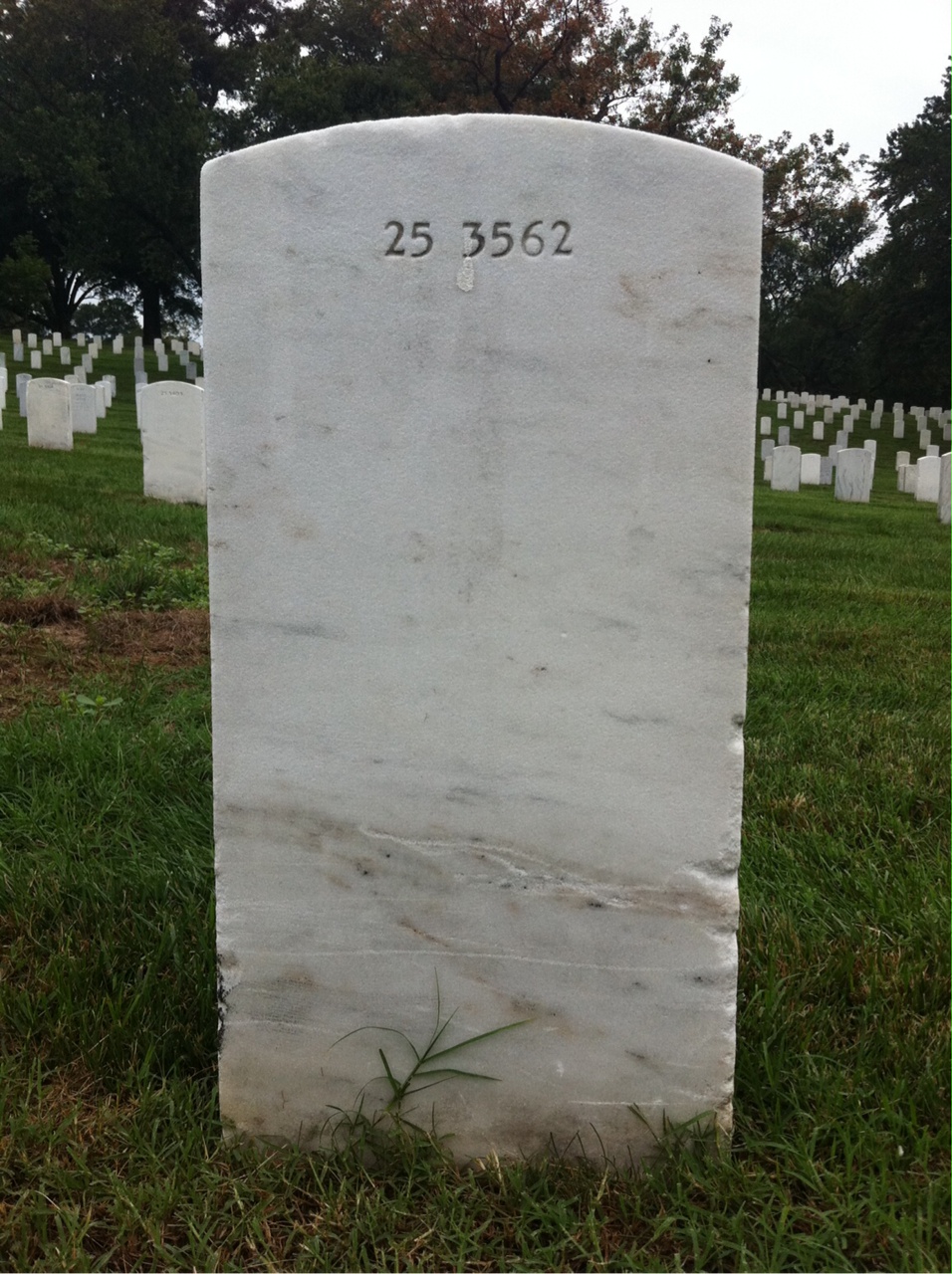 Back of headstone — Alfonso Glover