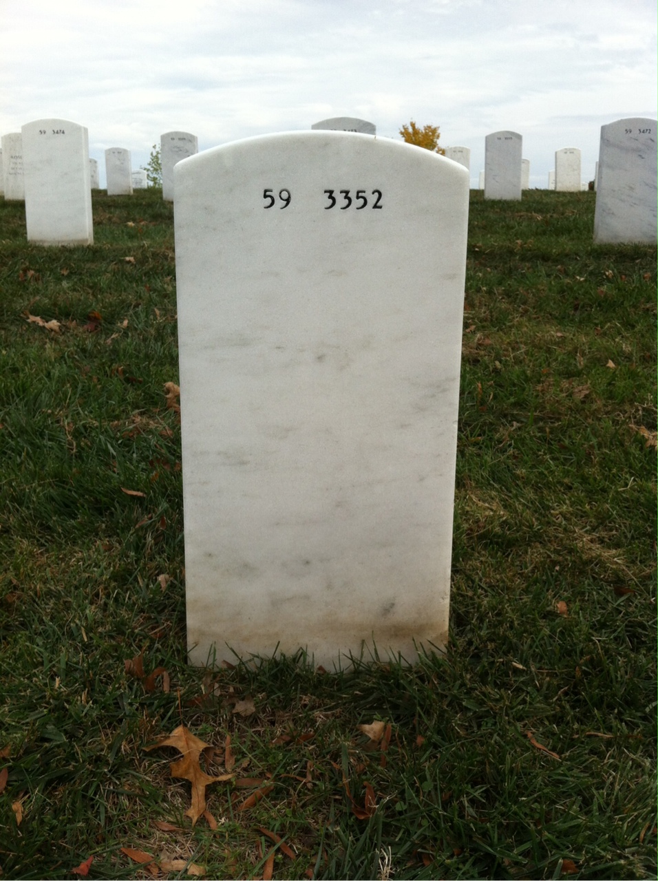 Back of headstone — Steven Lucas