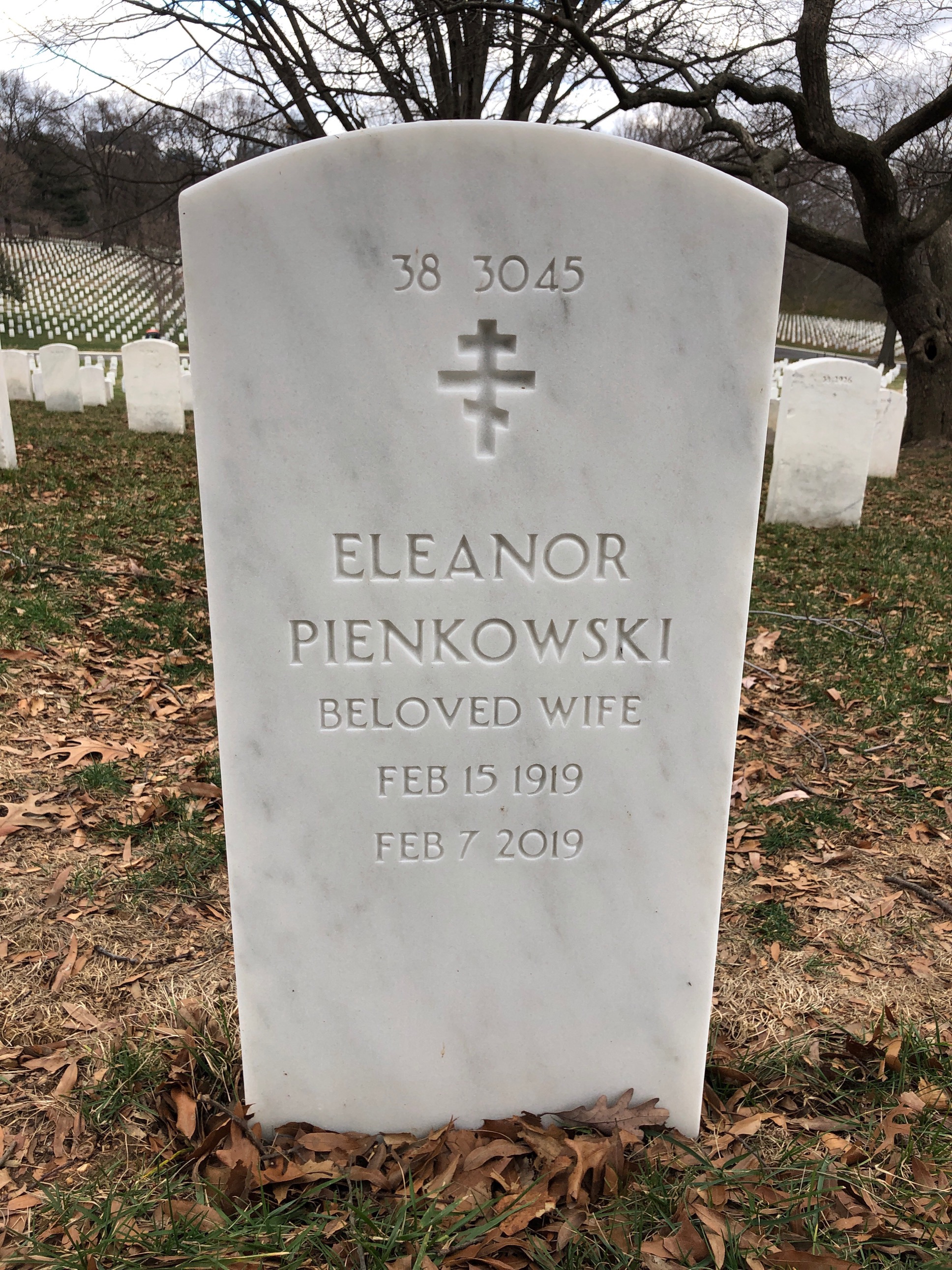 Back of headstone — Alexander Pienkowski