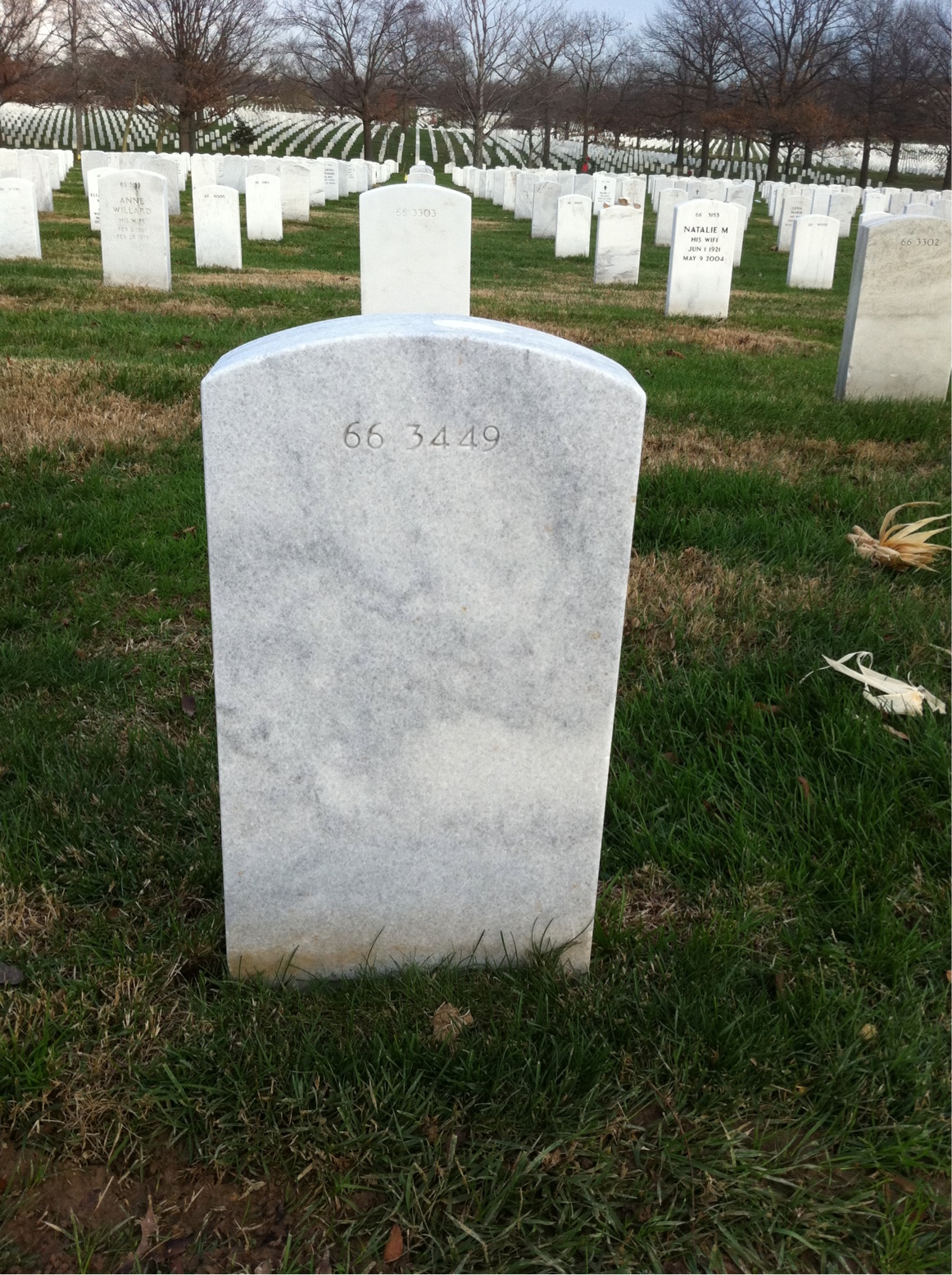 Back of headstone — Clarence Munford