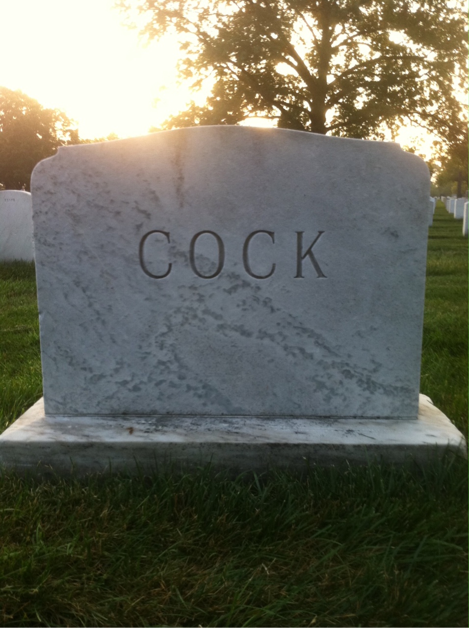 Back of headstone — May Cox