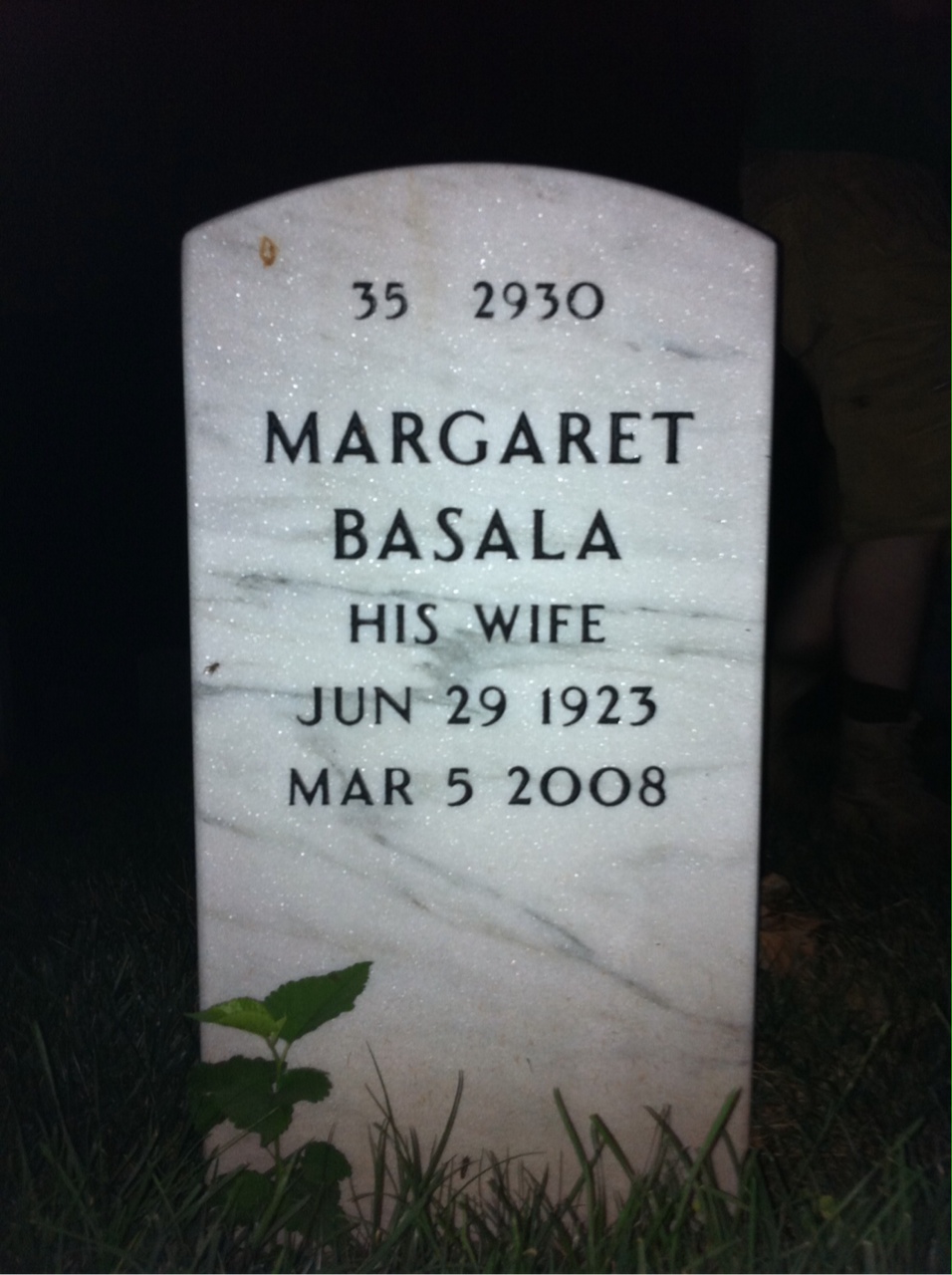 Back of headstone — William Johnson