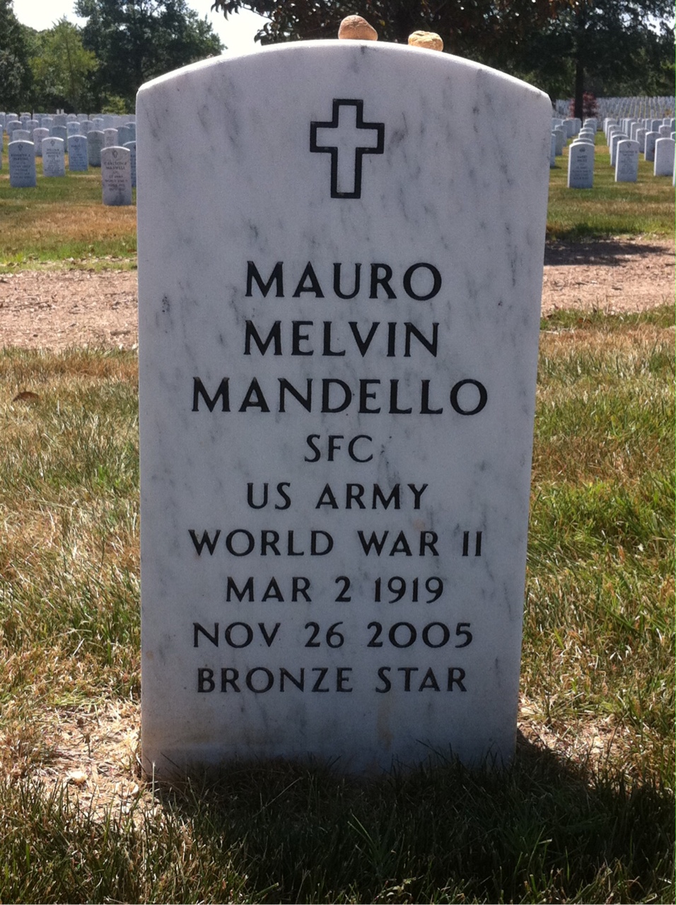 Mauro Mandello