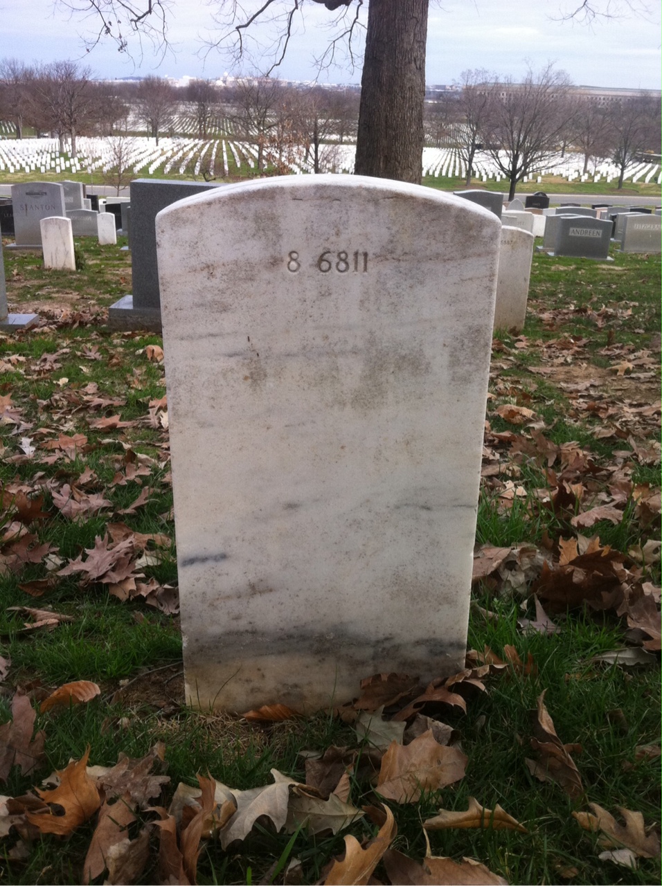 Back of headstone — Kalman Asher