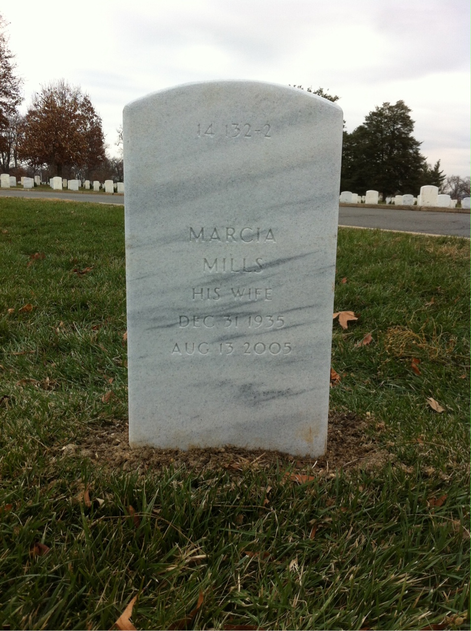 Back of headstone — John Mcdowell