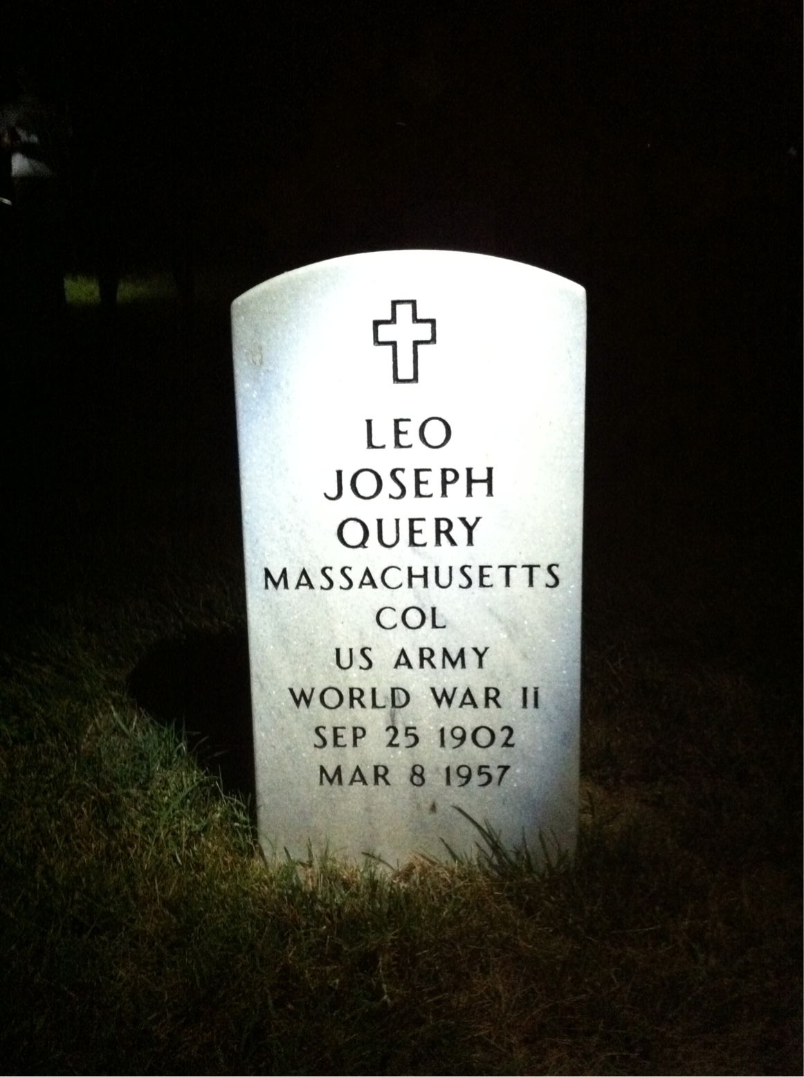 Leo Query