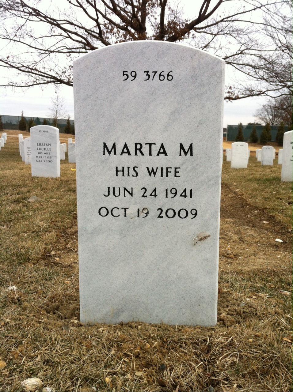 Back of headstone — Floyd Johnson