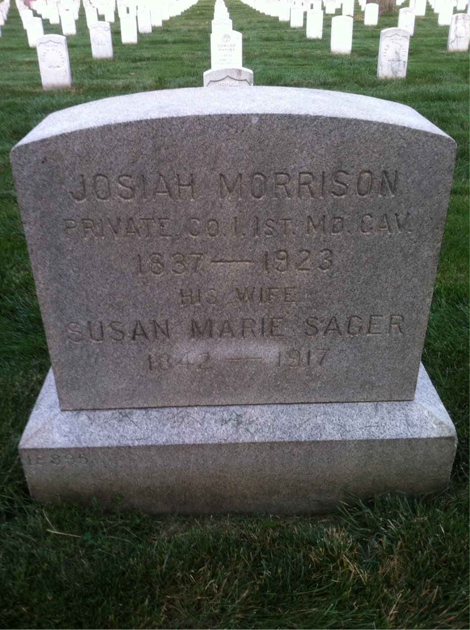 Susan Morrison