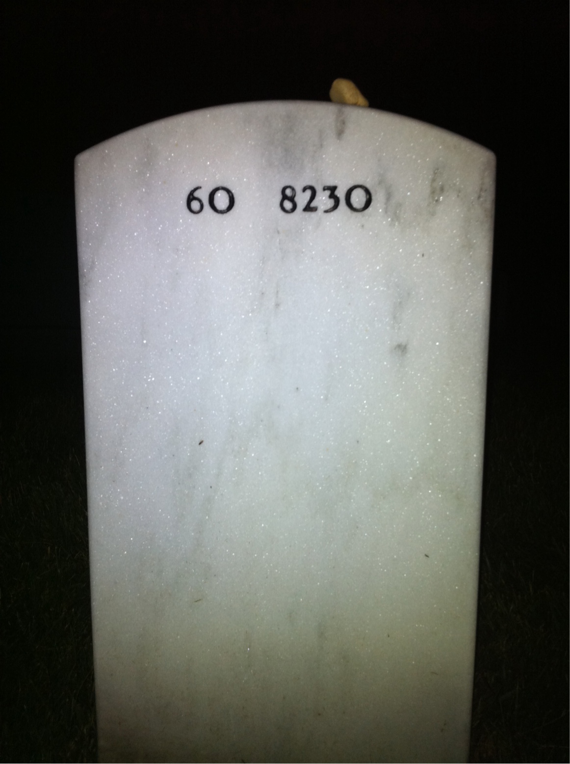 Back of headstone — Michael Martin Mcgreevy