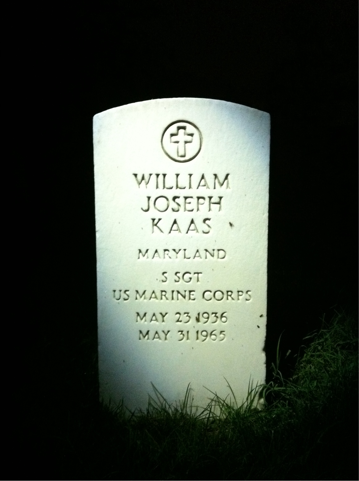William J Kaas