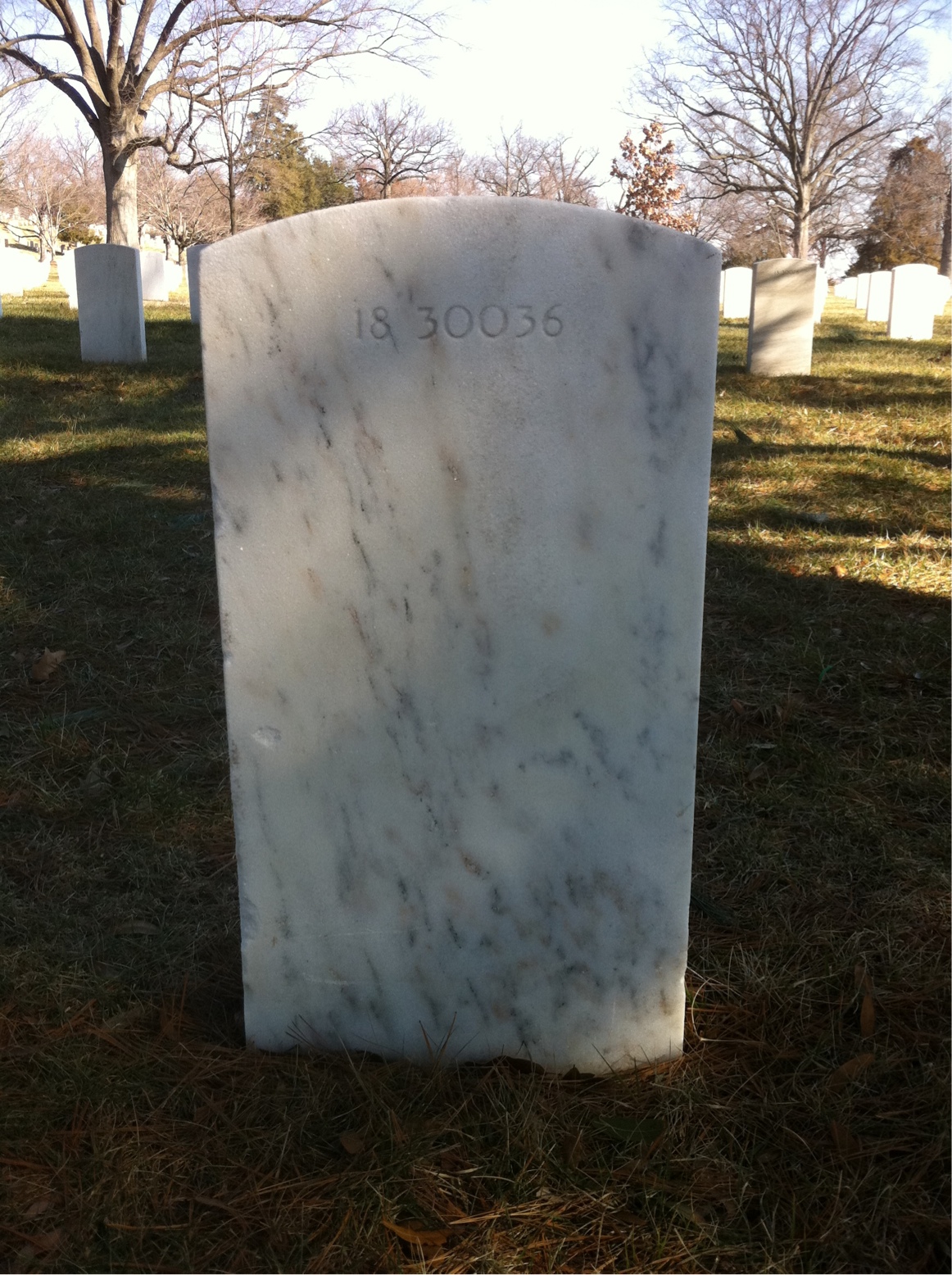 Back of headstone — Irene Agnew