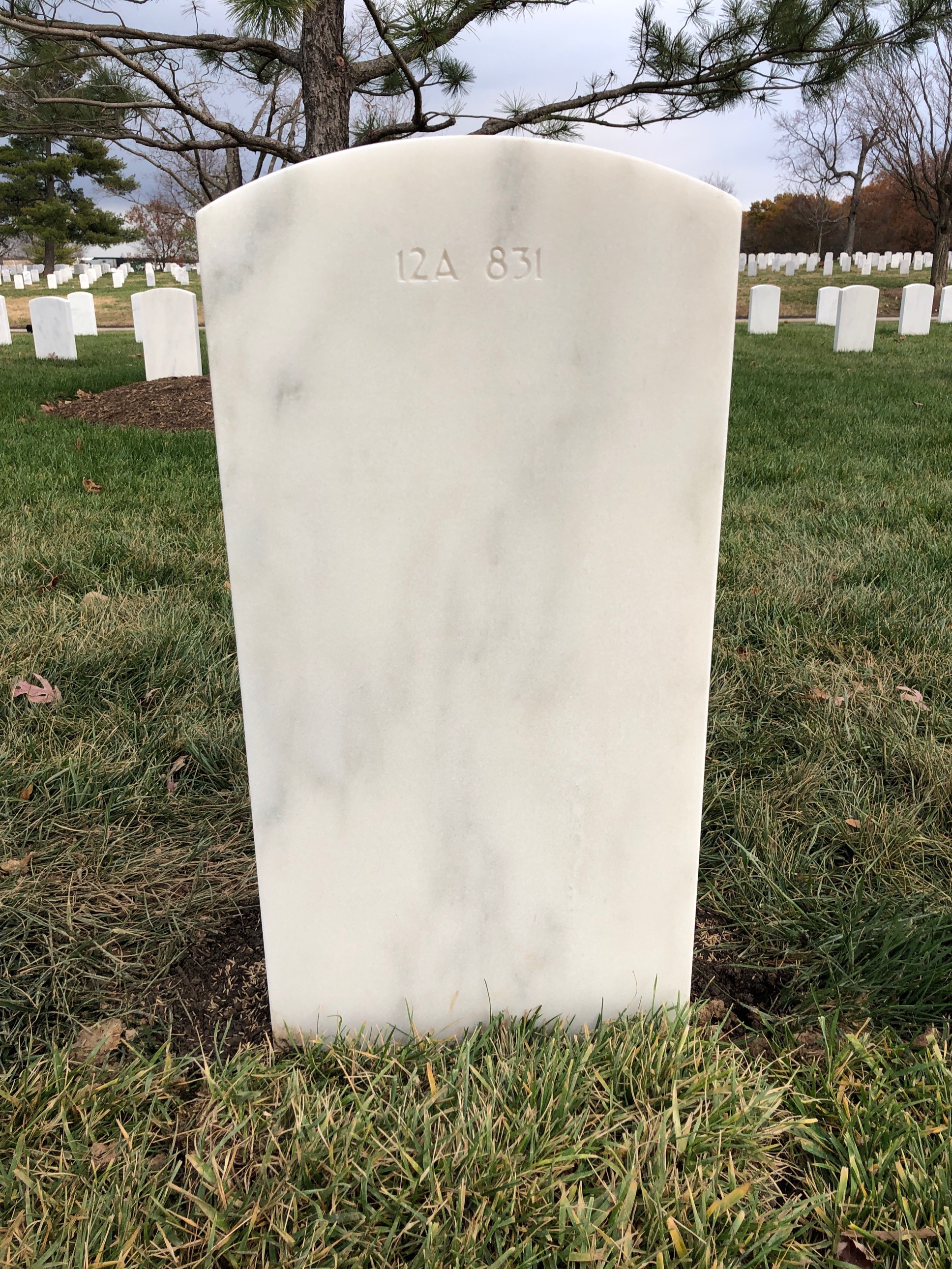 Back of headstone — Bertram Avis