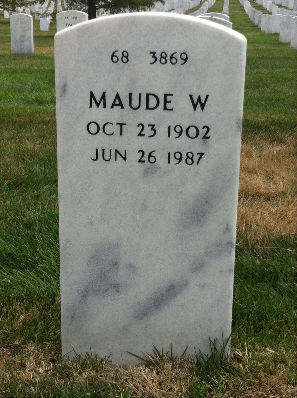 Back of headstone — Lucius Young