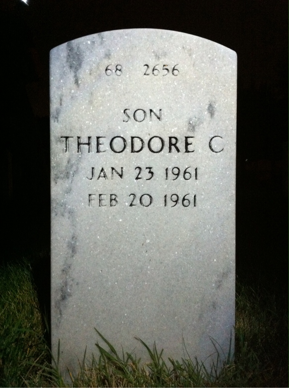 Back of headstone — Theodore Williams