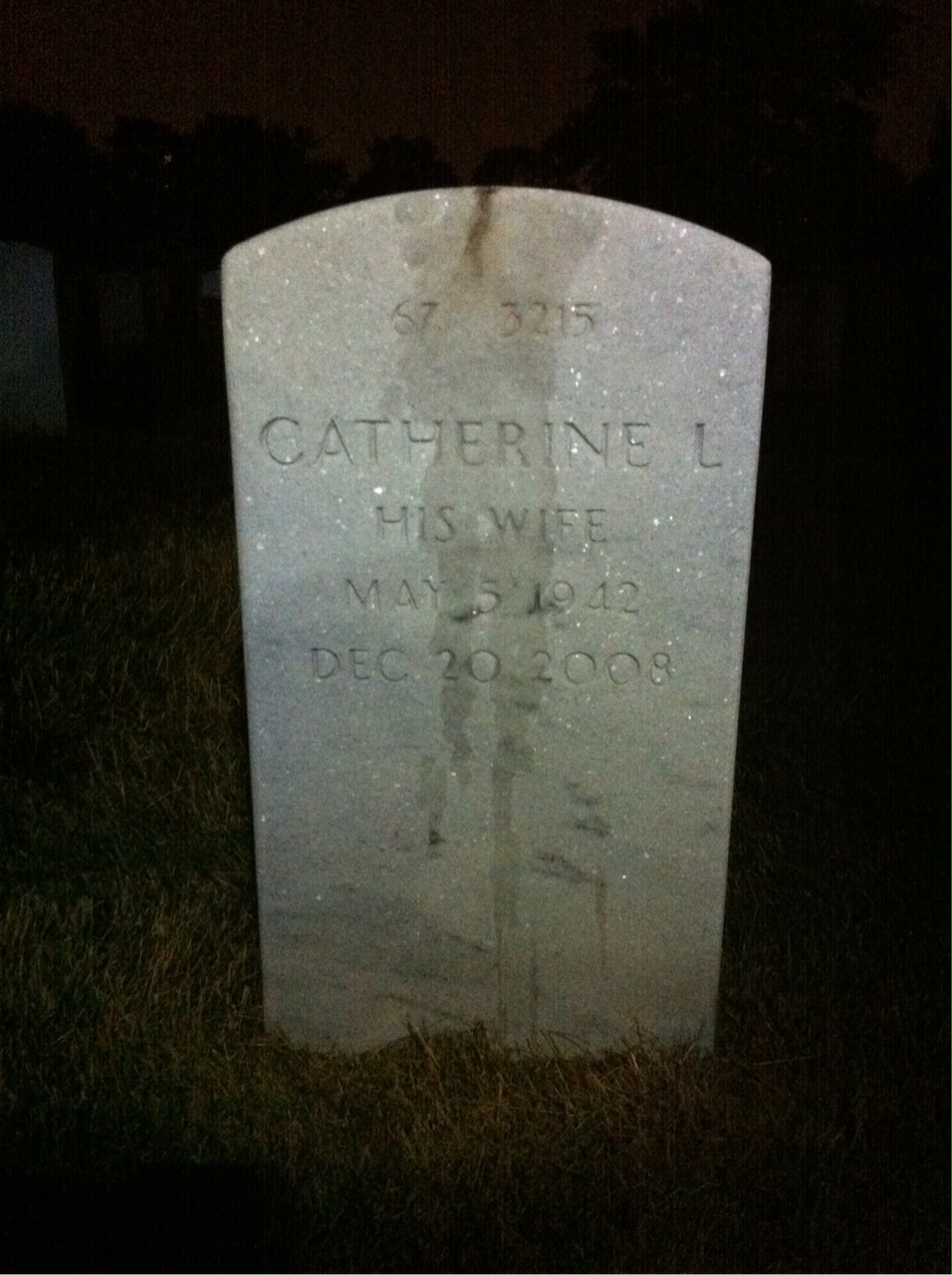 Back of headstone — Bennie Terry