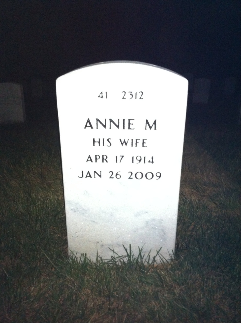 Back of headstone — Pleas Johnson