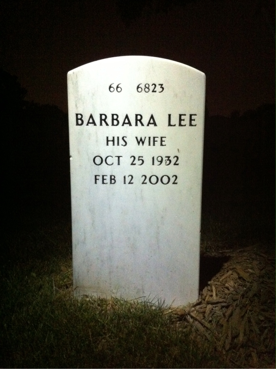 Back of headstone — Stephen Lesley