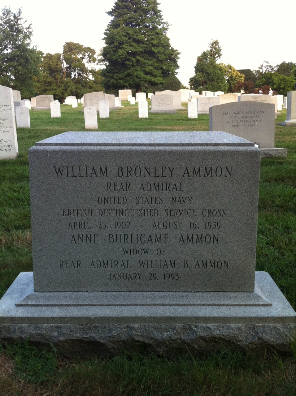 Anne Ammon