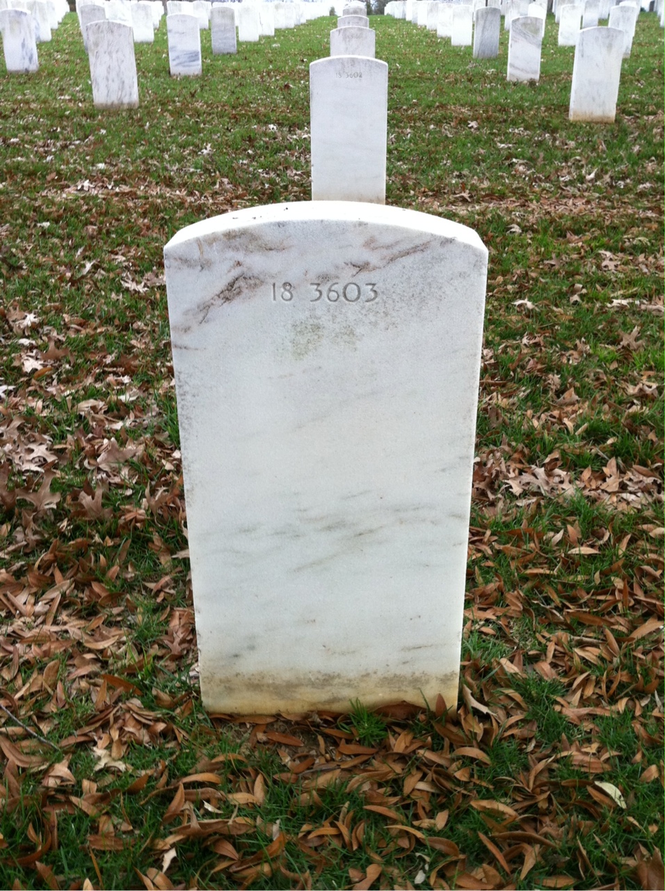 Back of headstone — Lloyd Myers