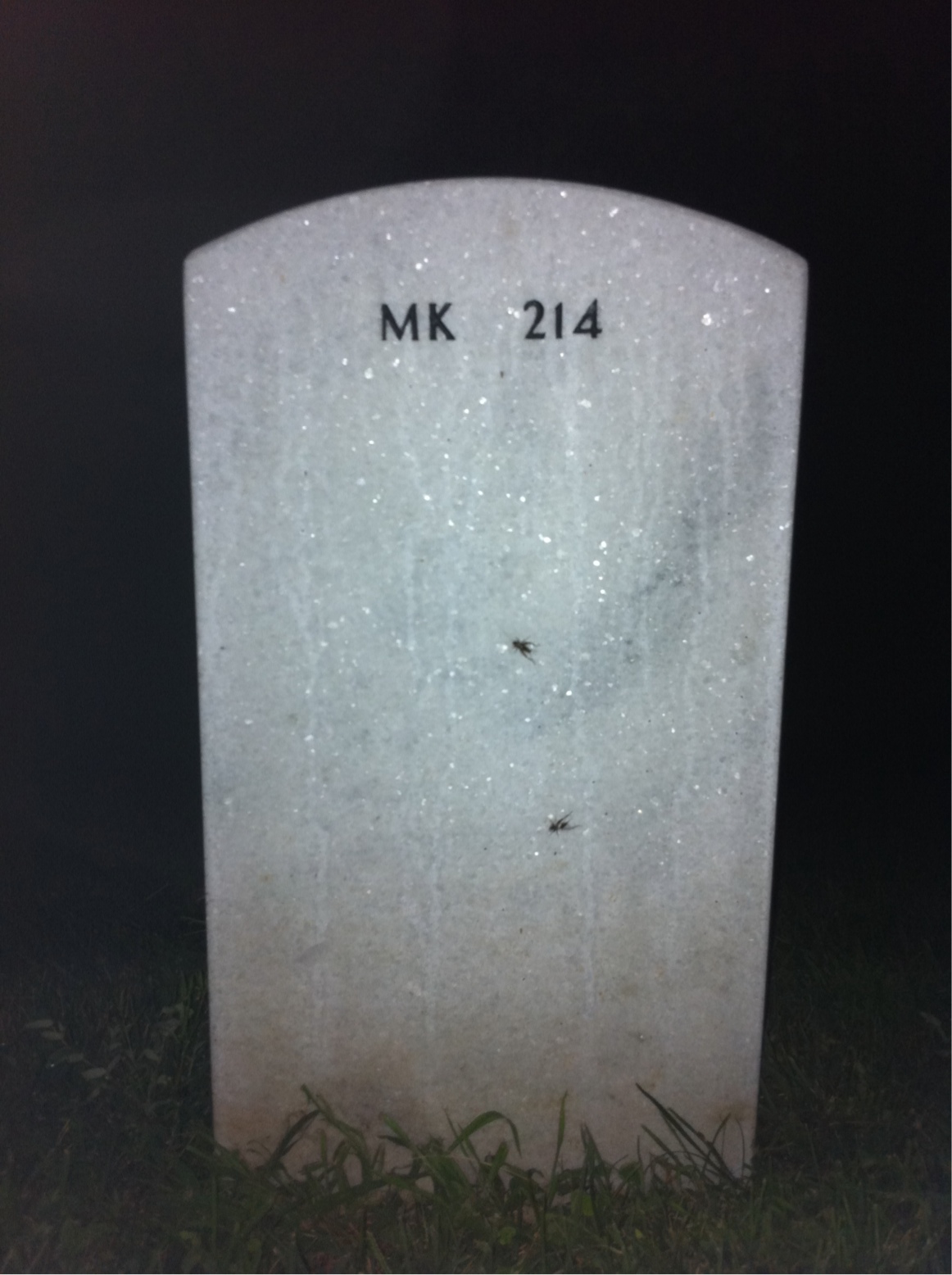 Back of headstone — Donald Mitchell