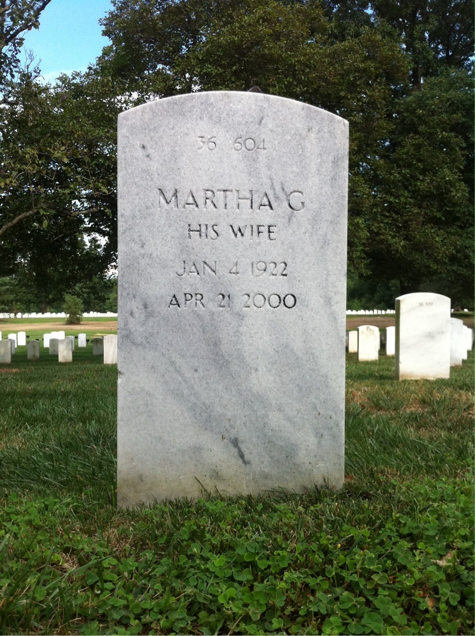 Back of headstone — Francis Aerni