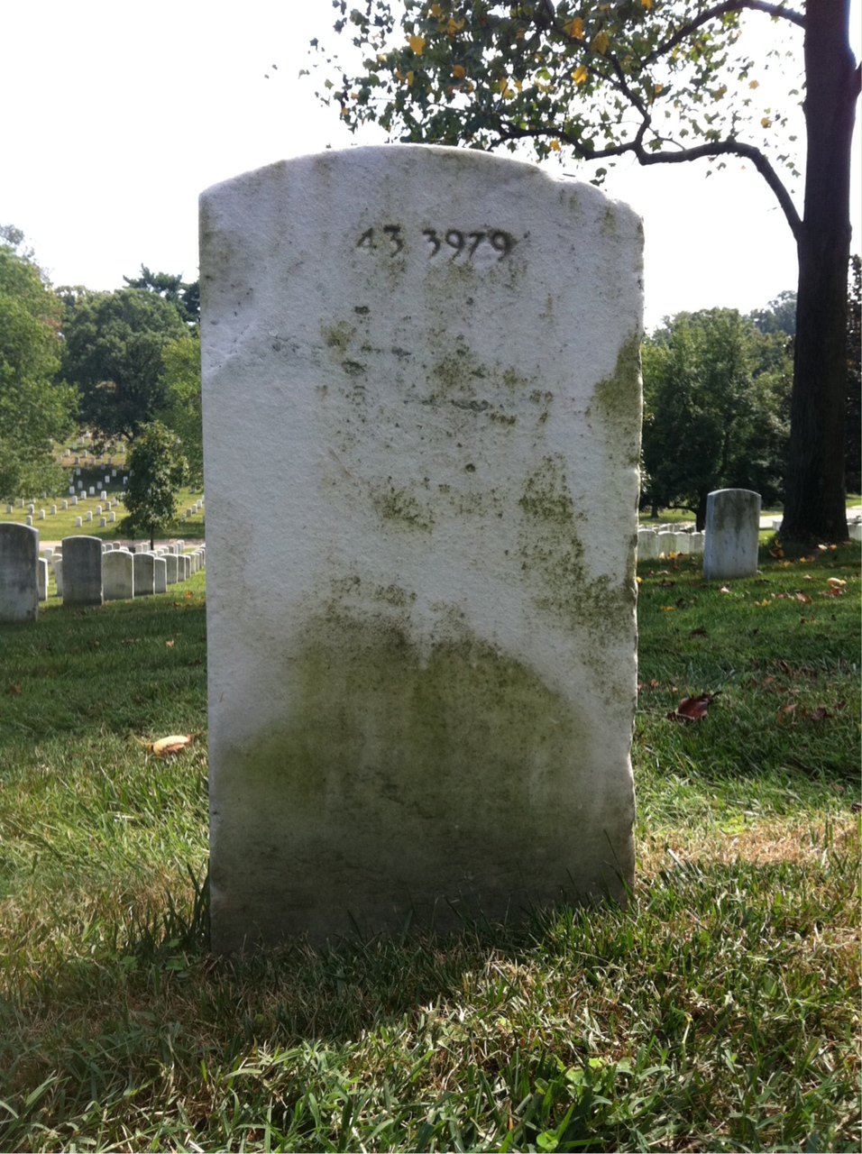 Back of headstone — Adohre Baker