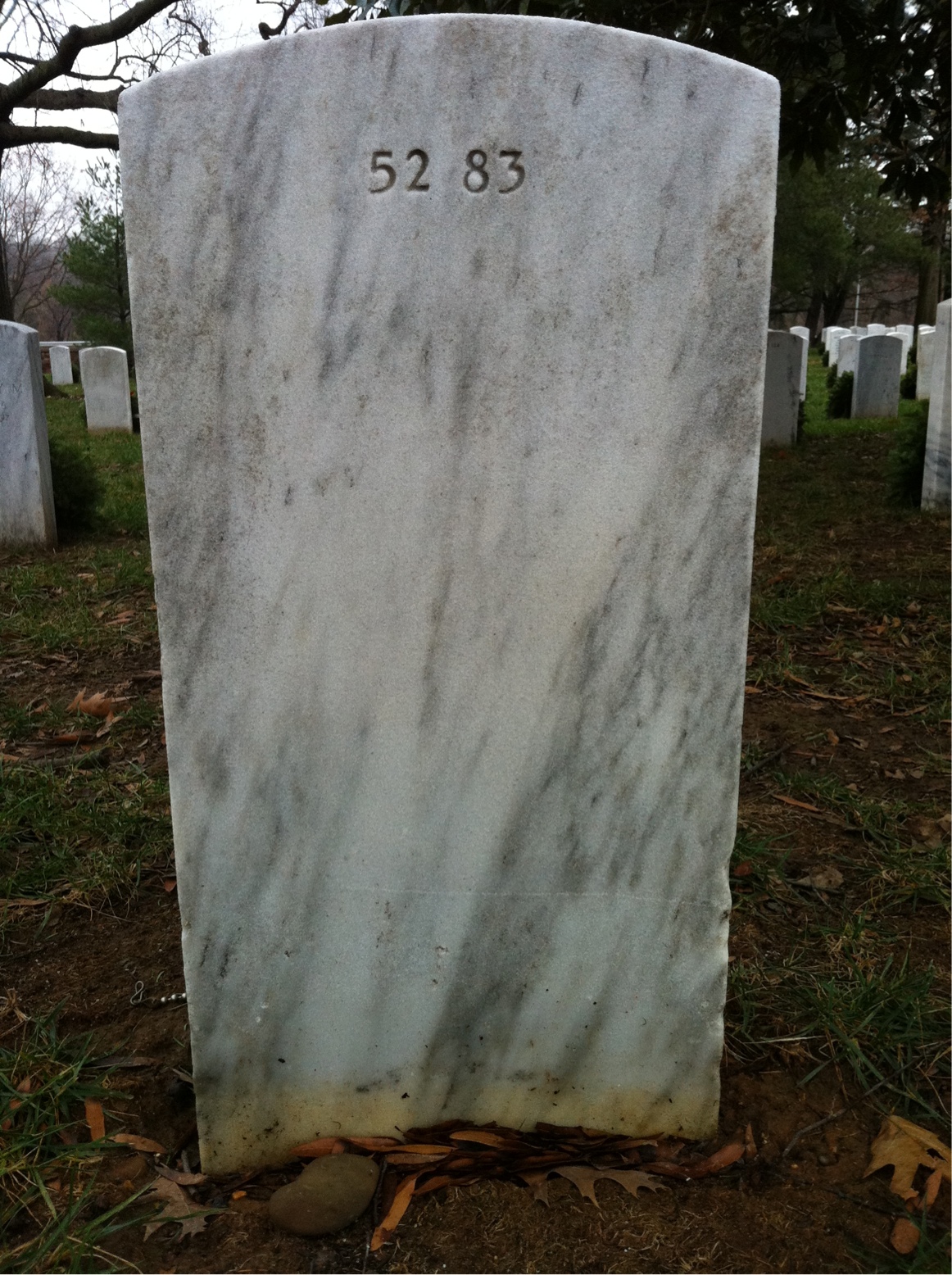 Back of headstone — Hector Francisco Figurelli
