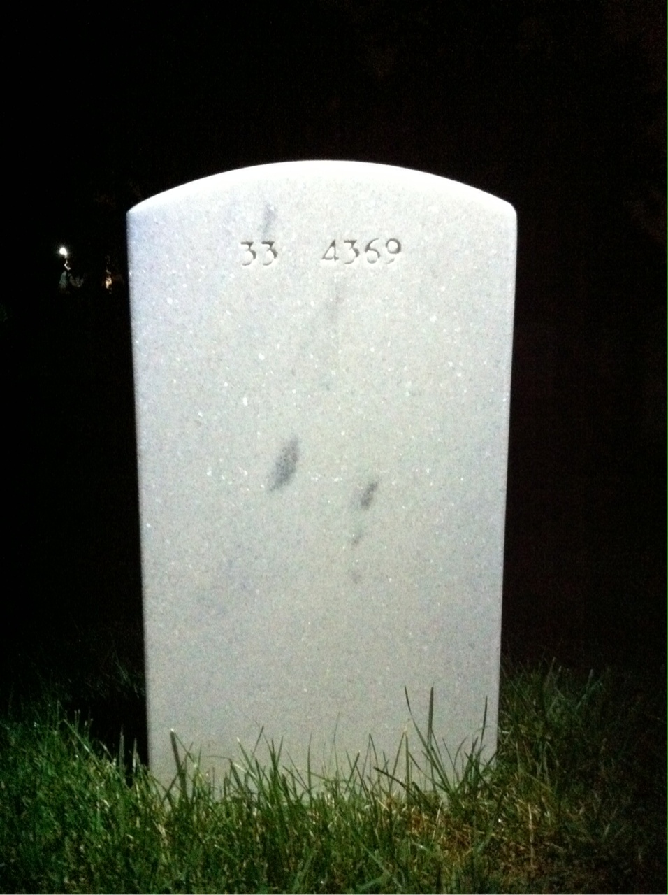 Back of headstone — Lee Janet