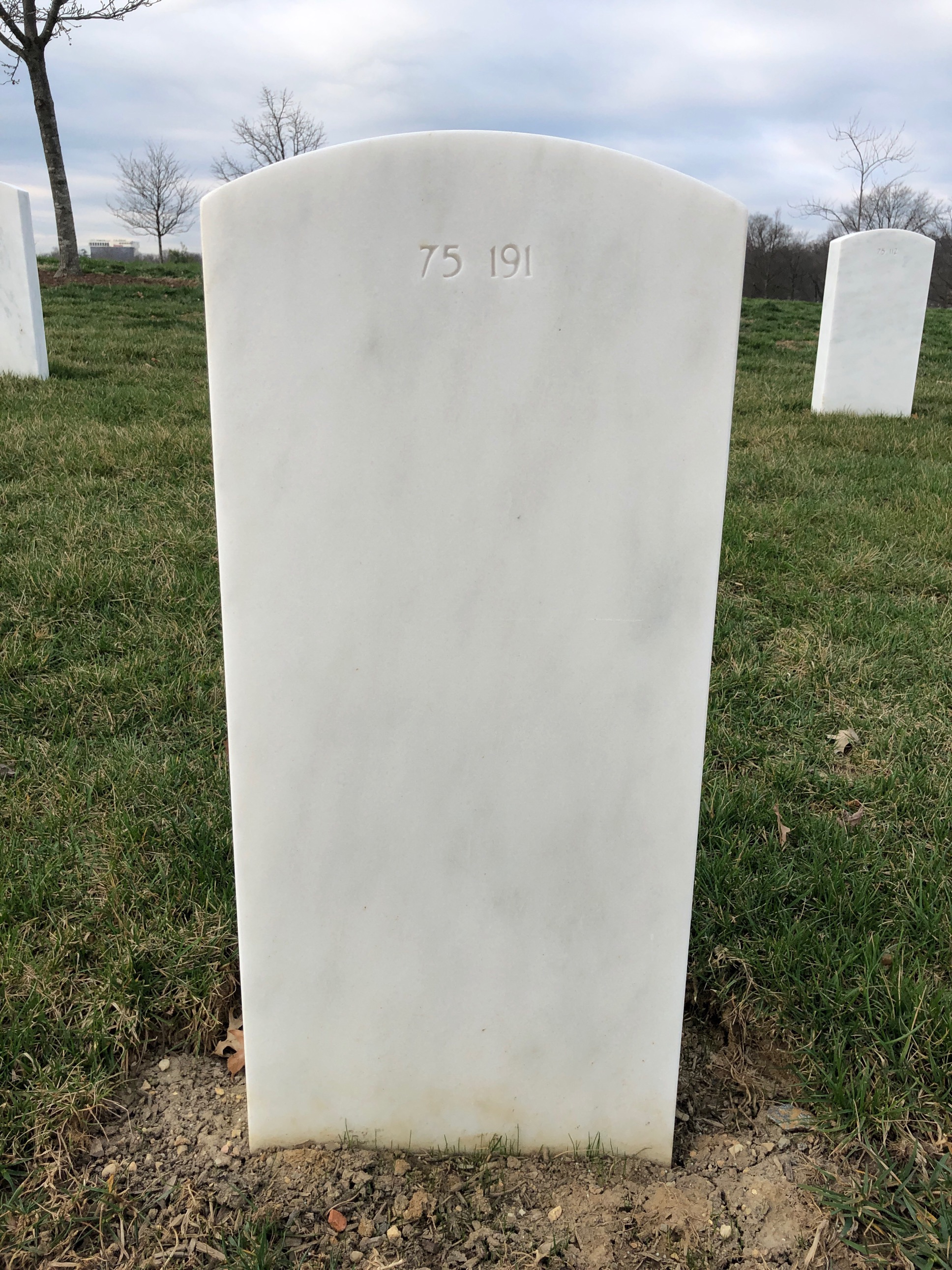 Back of headstone — William S Troy