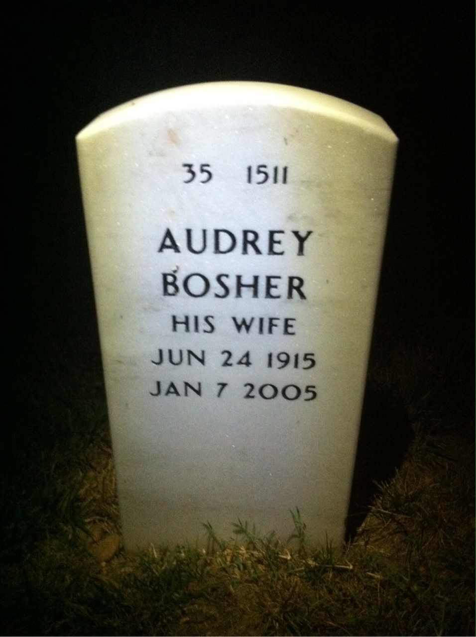 Back of headstone — George Mckibbin