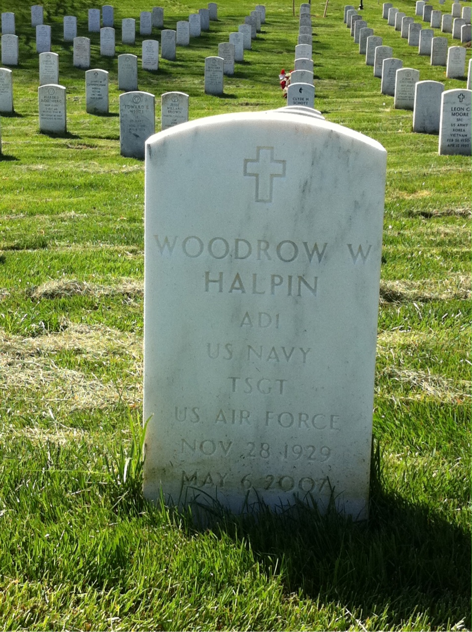 Woodrow Halpin