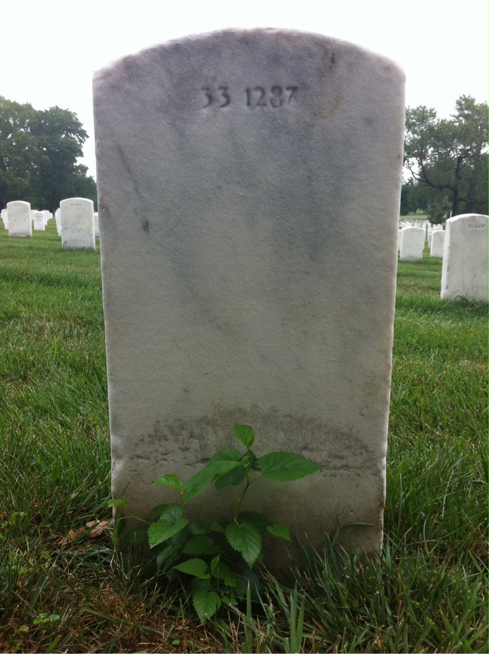 Back of headstone — George Considine