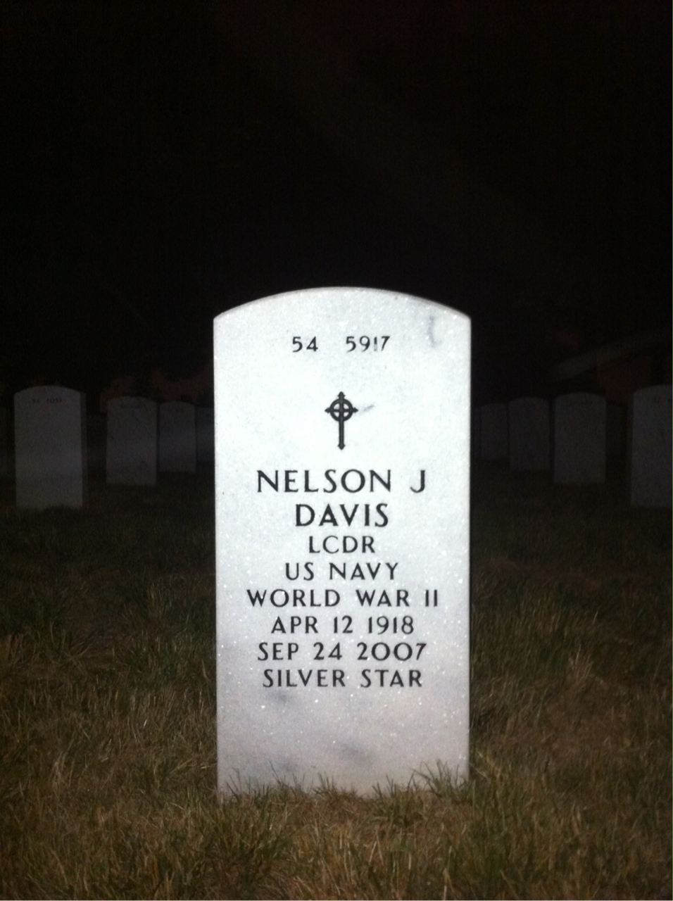 Back of headstone — Nelson Davis