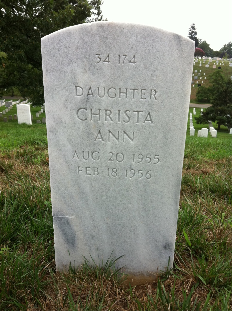 Back of headstone — William Langston