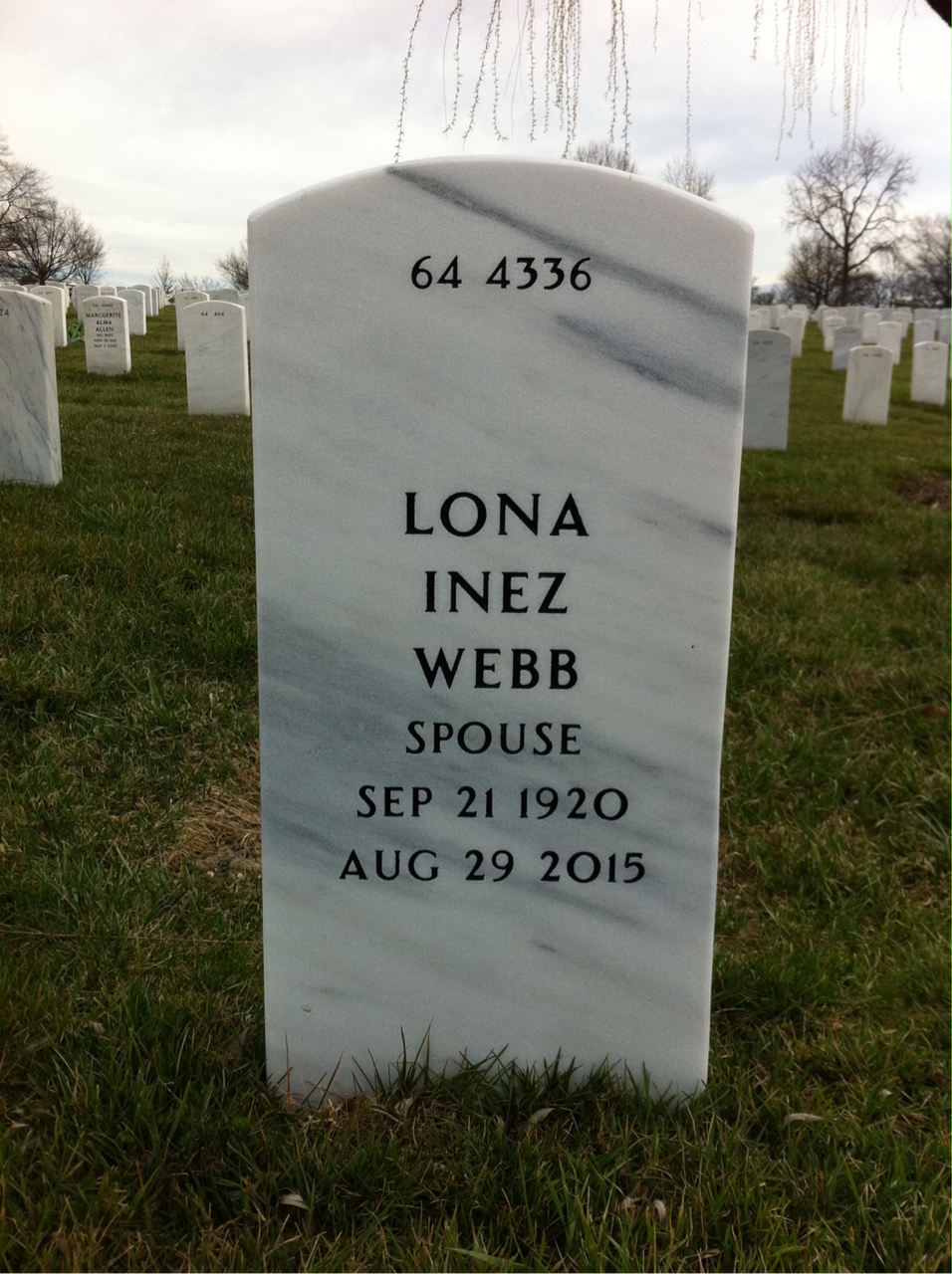 Back of headstone — Calvin Rains