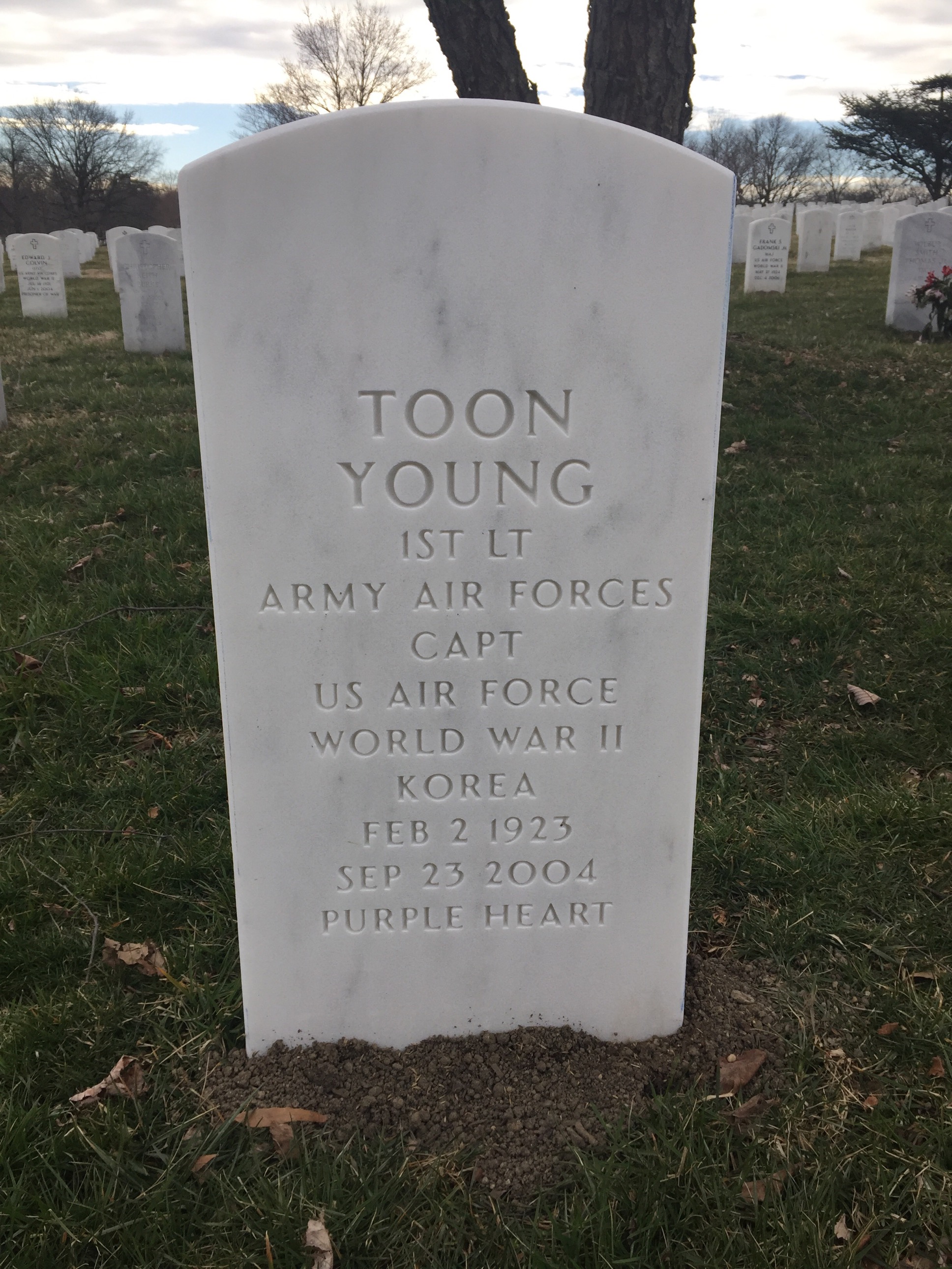 Toon Young