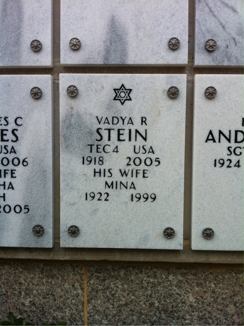 Vadya Stein