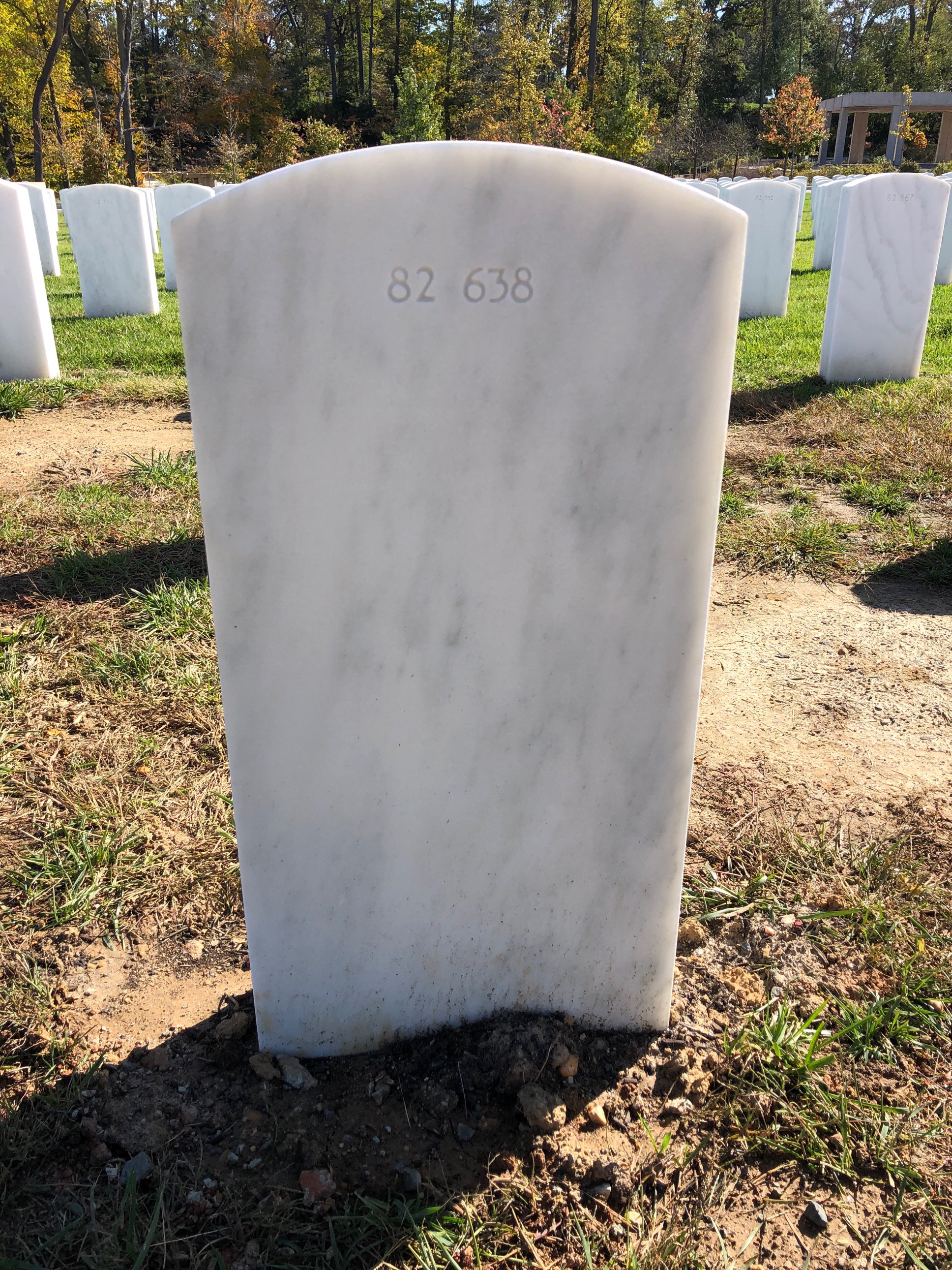 Back of headstone — Thomas Fred Reese
