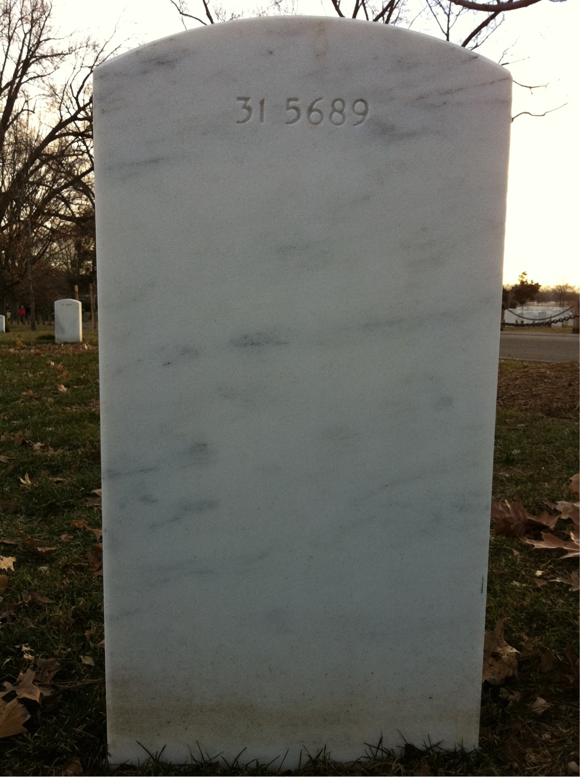 Back of headstone — Albert Milloy