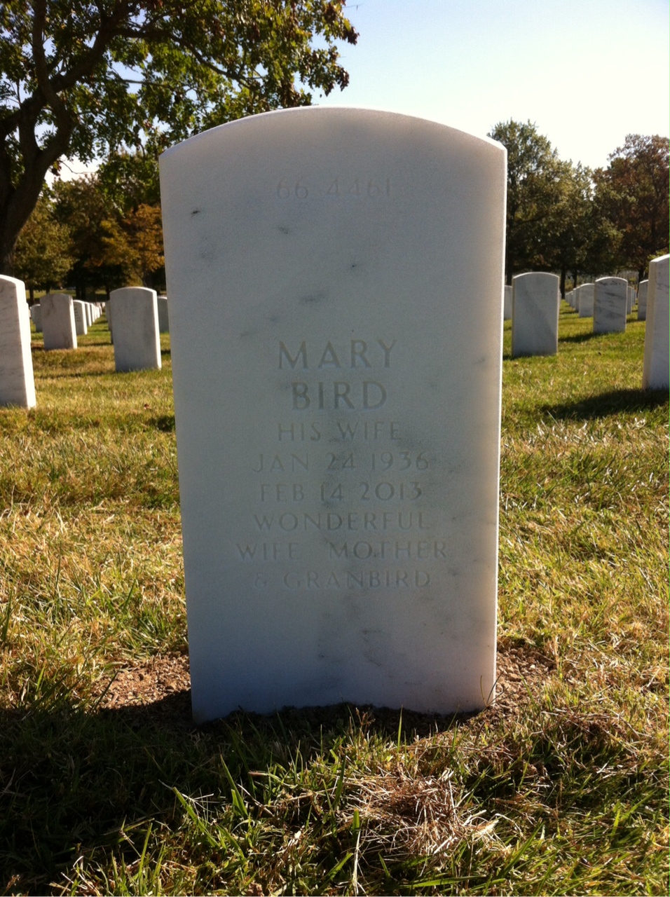 Back of headstone — Thomas Ritson Ferguson