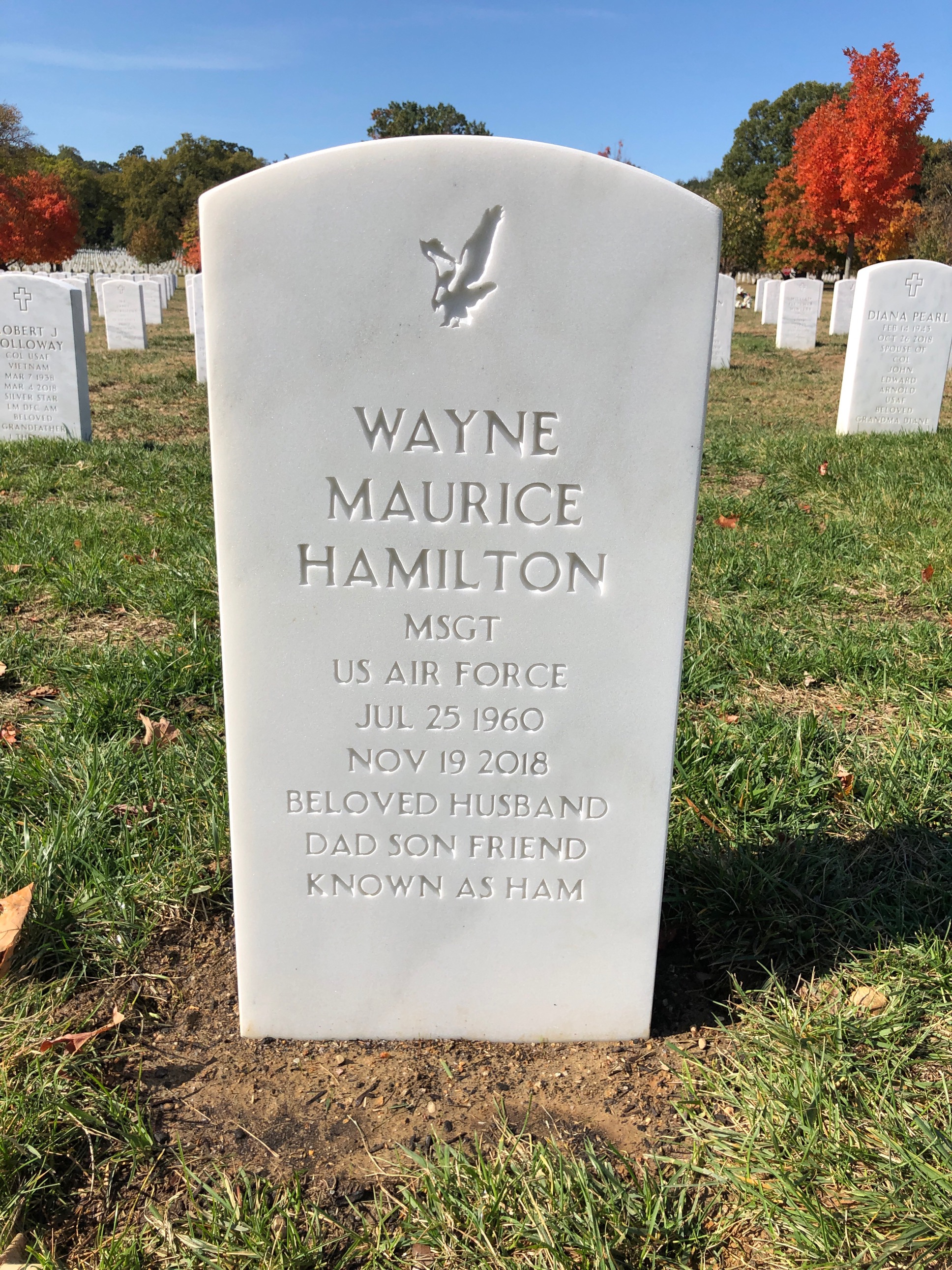 Wayne Maurice Hamilton
