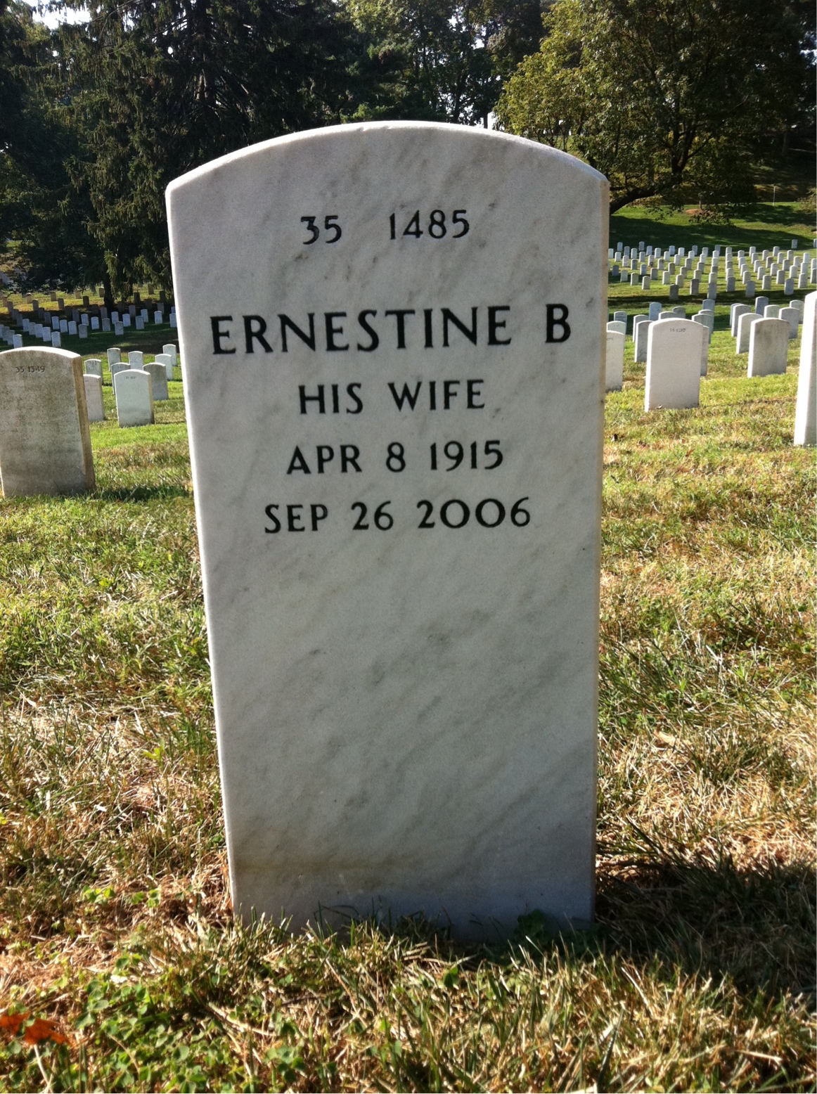 Back of headstone — John Roy