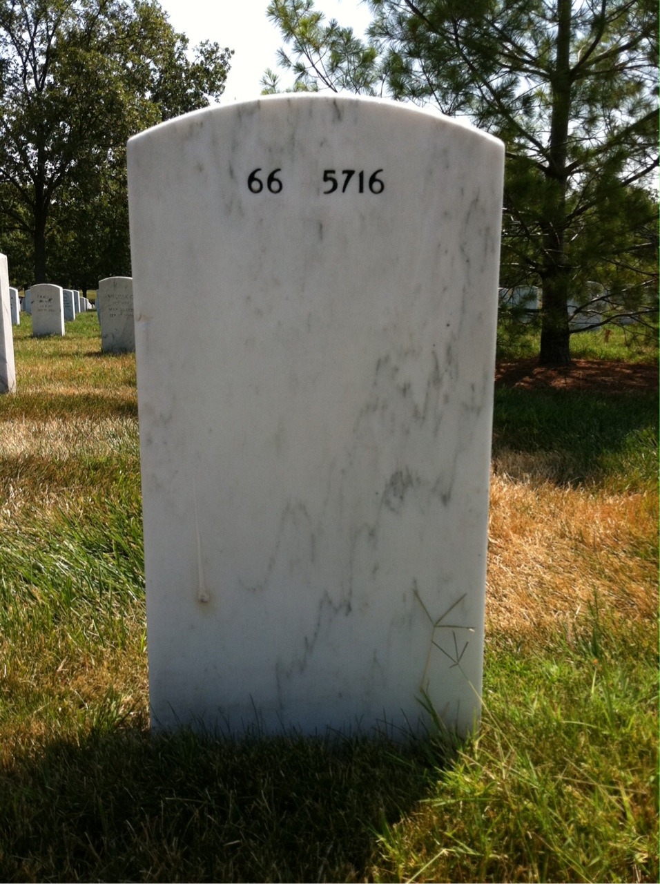 Back of headstone — Clifford Terry