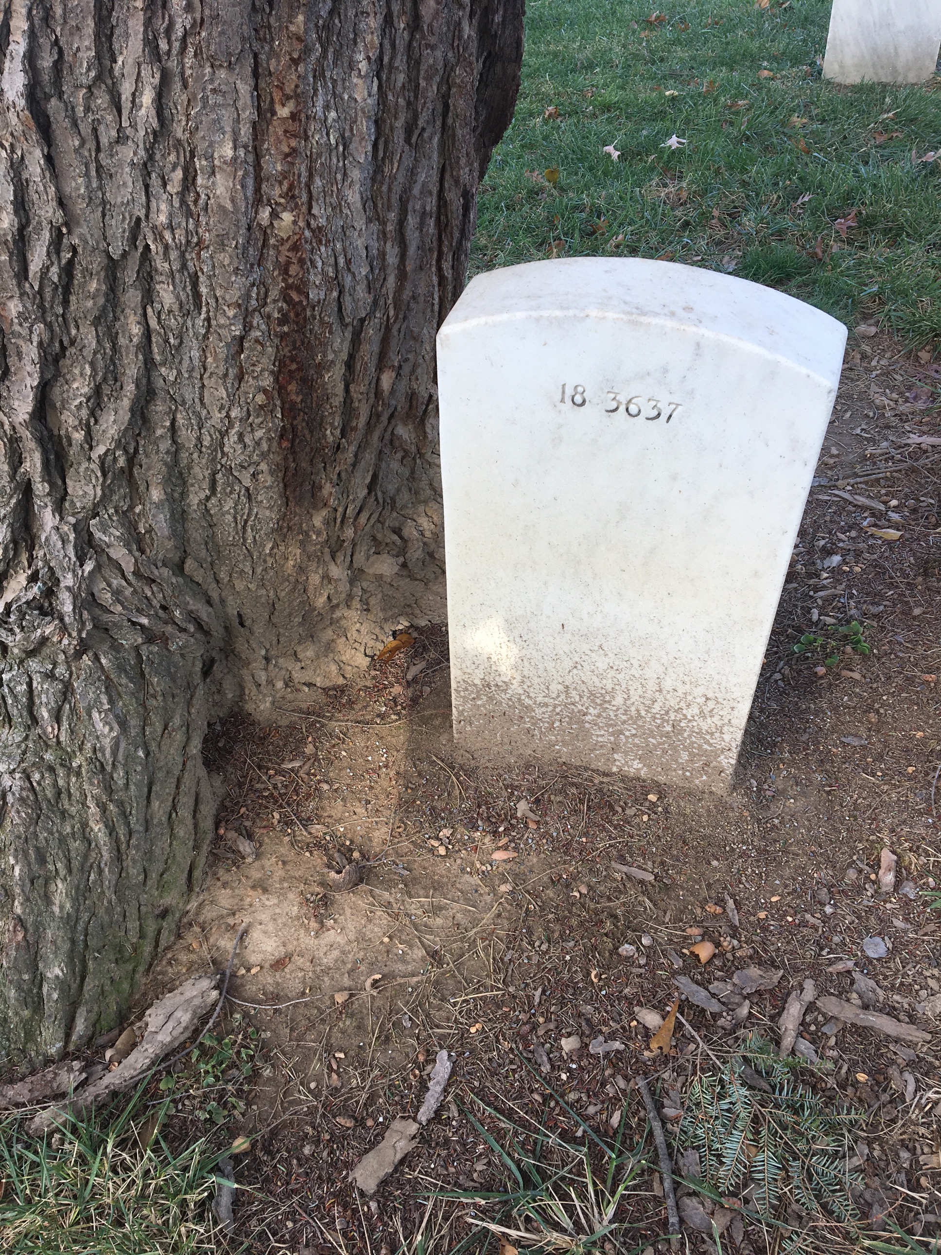 Back of headstone — Thomas Addis