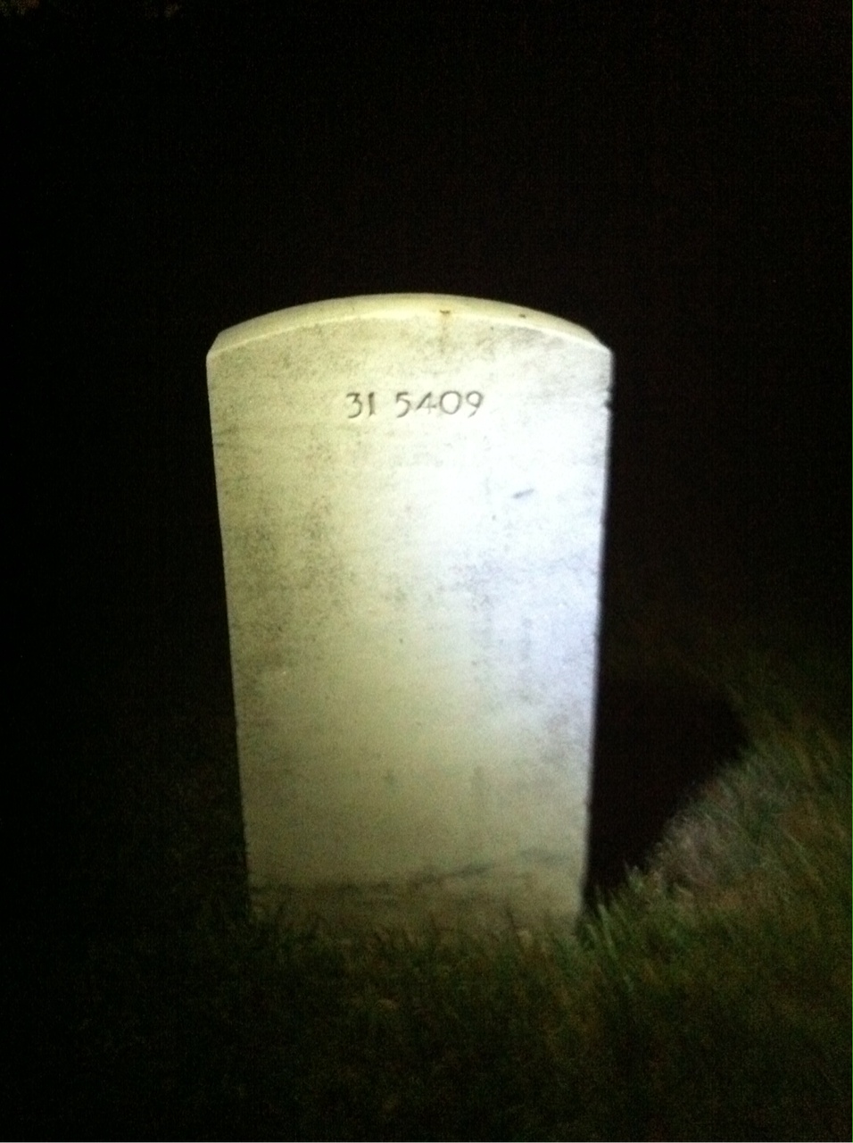 Back of headstone — Earl Alexander