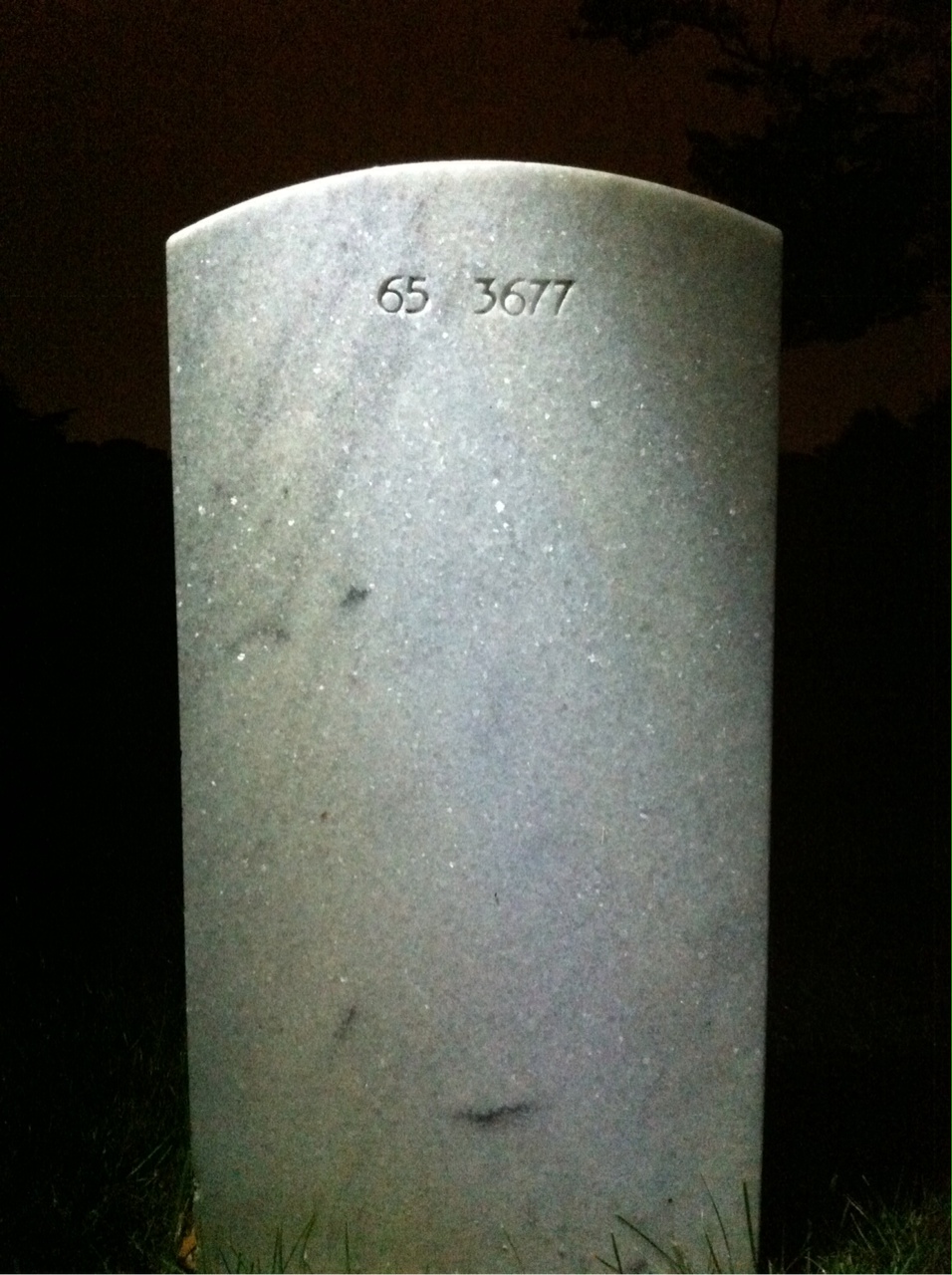 Back of headstone — Donald Molony