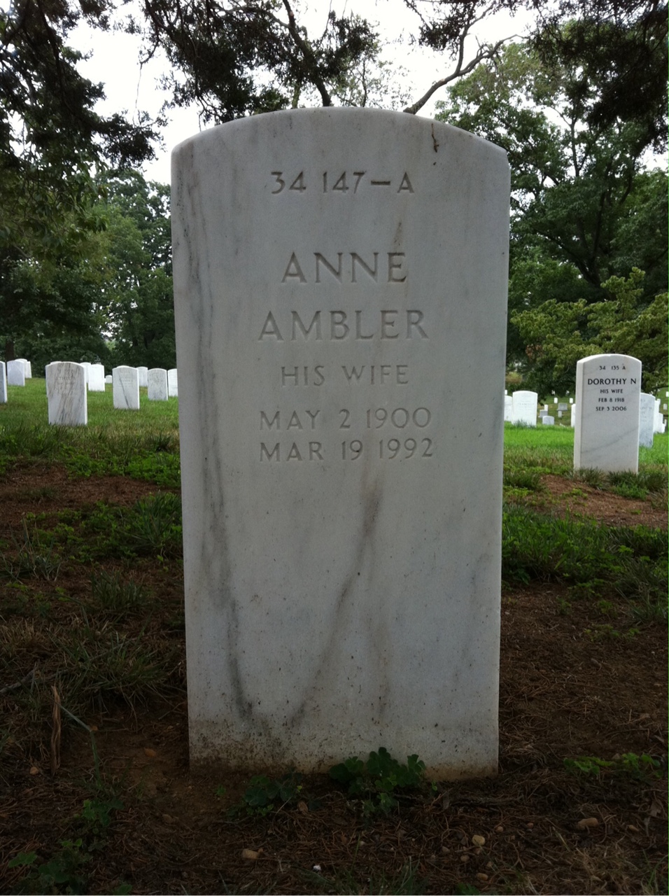Back of headstone — Webster M Thompson