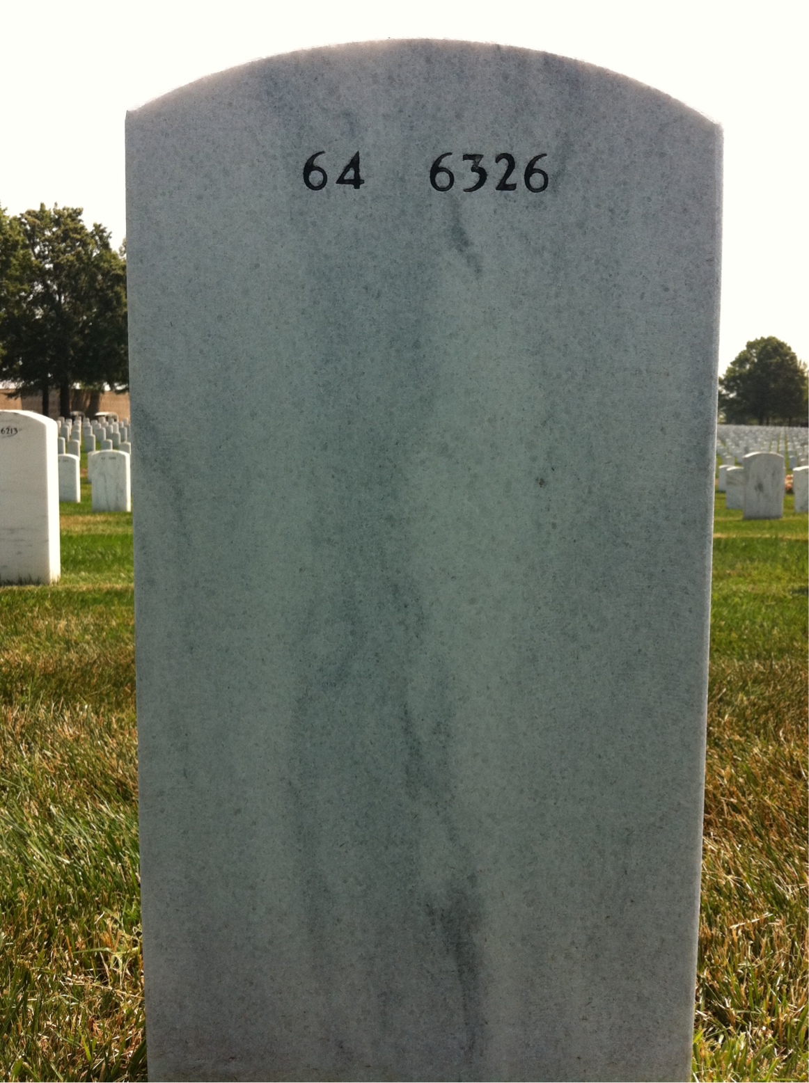 Back of headstone — Leon Druckenmiller