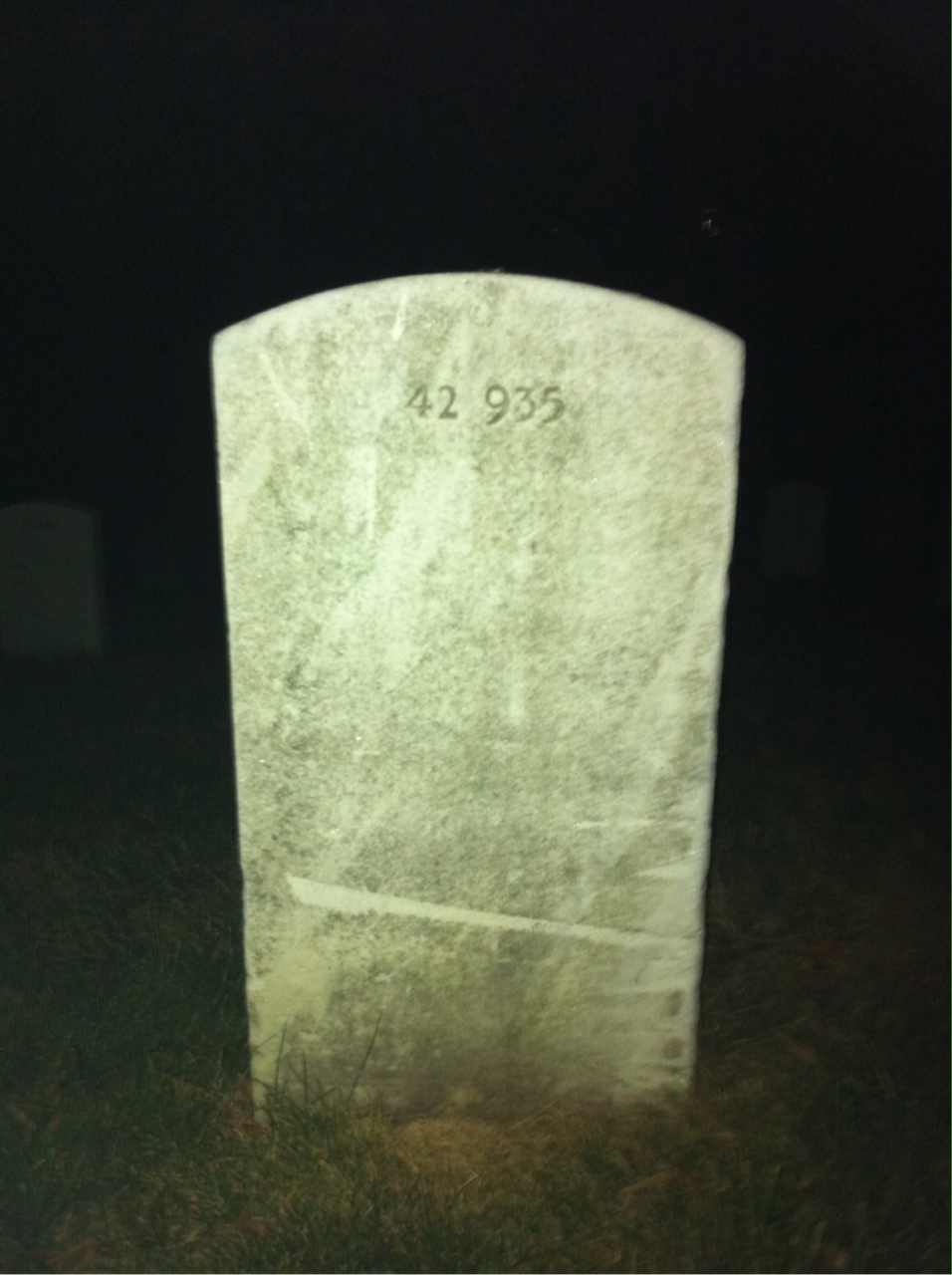 Back of headstone — Venus Mode